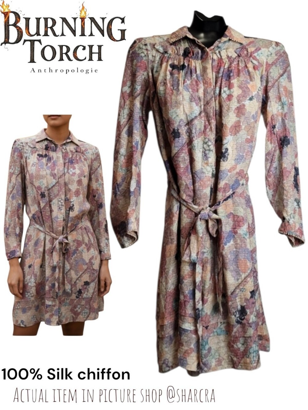 Burning Torch Anthropologie Women Silk chiffon pastel print long sleeve dress xs